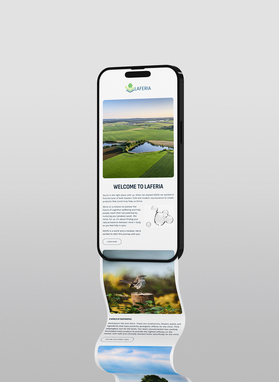 Newsletters