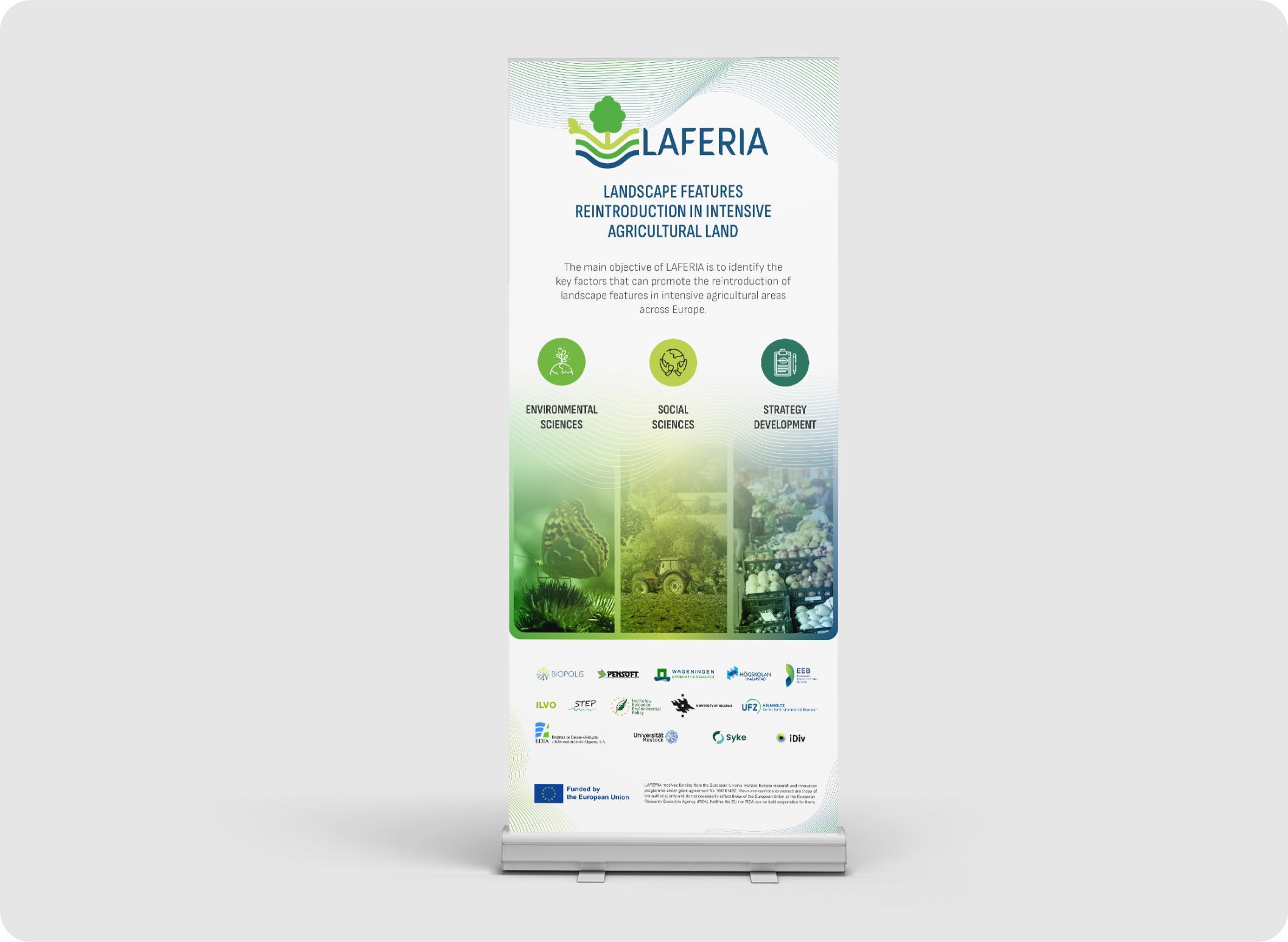 Rollup Banner preview