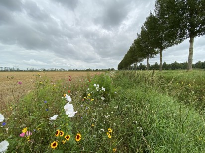 Netherlands